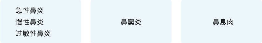 鼻